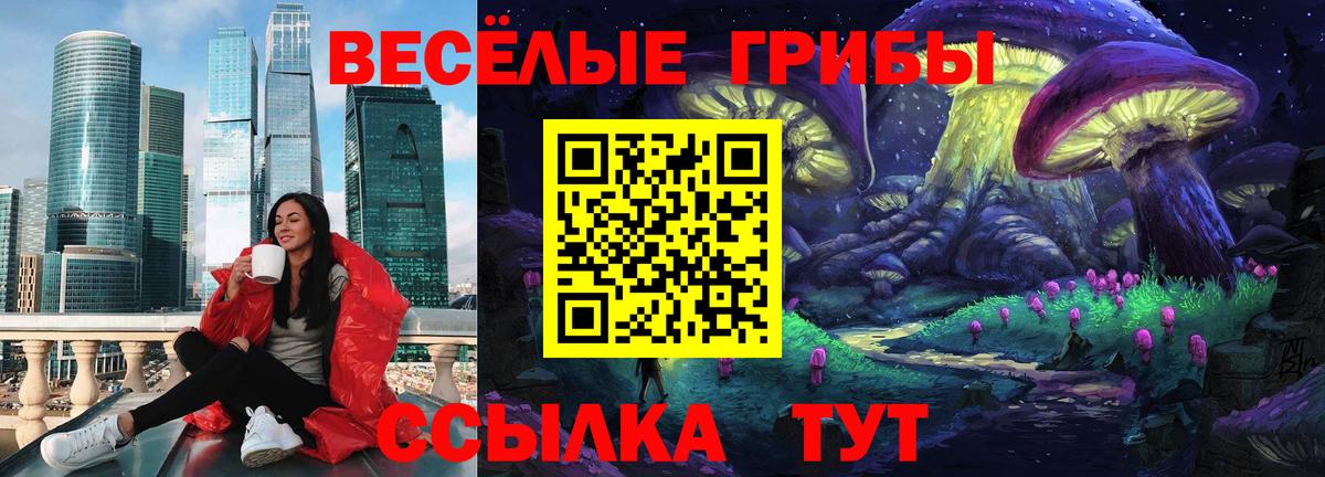 Галлюциногенные грибы мухоморы  Вход с VPN  Солнечногорск 